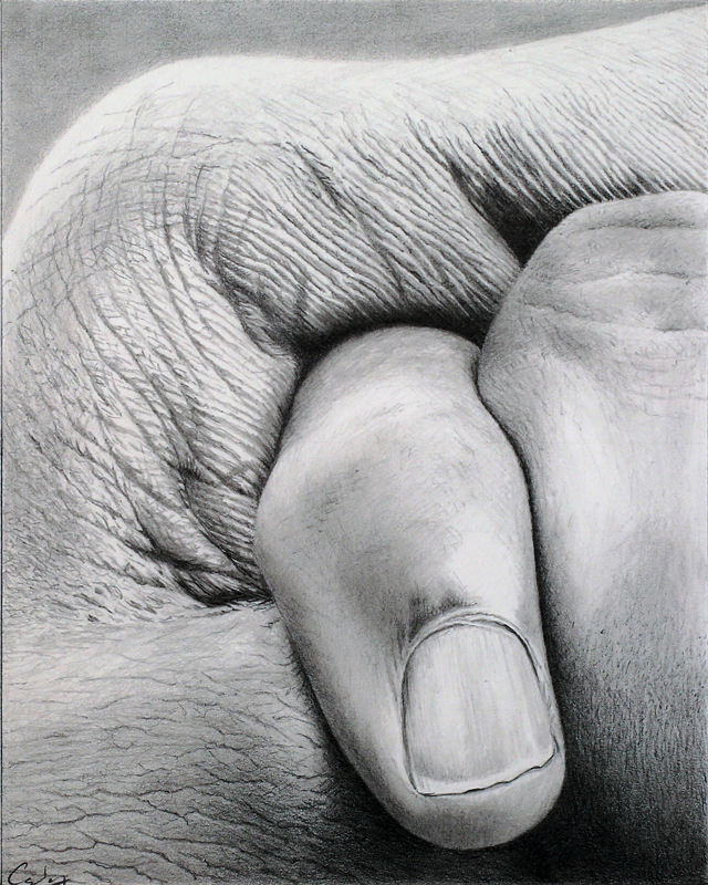 Pencil drawing: A Little Finger